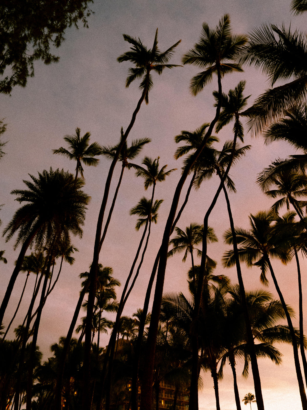 Daybreak Editions - 001