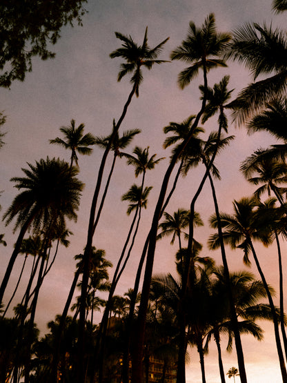 Daybreak Editions - 001